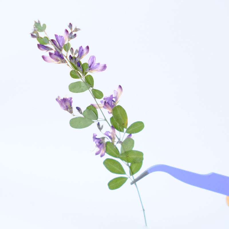6pcs,nature Lespedeza Formosa  - Dried Flower Bookmark recensie en prijs