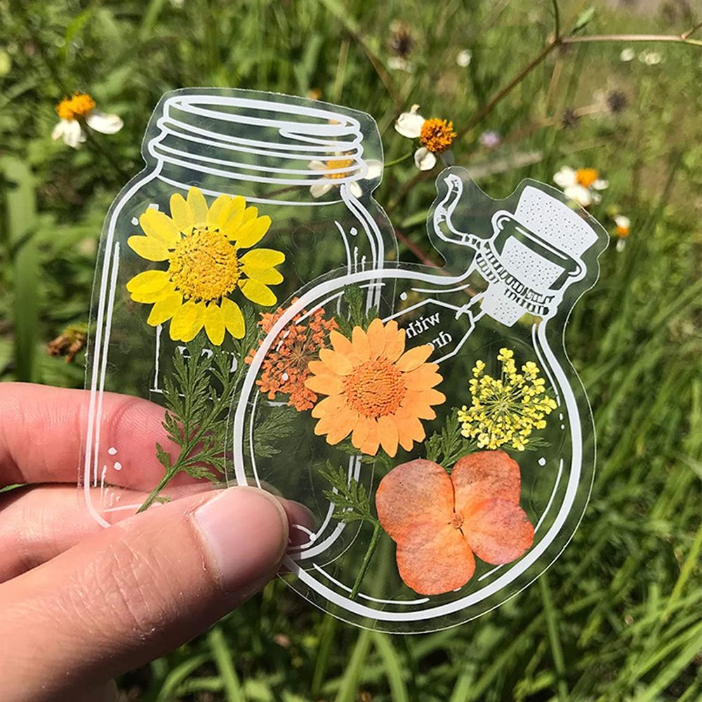 30Pcs Handmade DIY Transparent - Dried Flower Bookmark recensie en prijs
