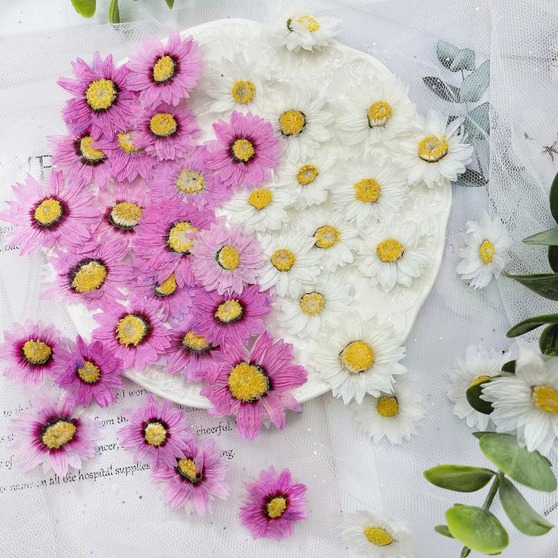 24pcs/2-4CM,Natural Pressed Fl - Dried Flower Bookmark recensie en prijs