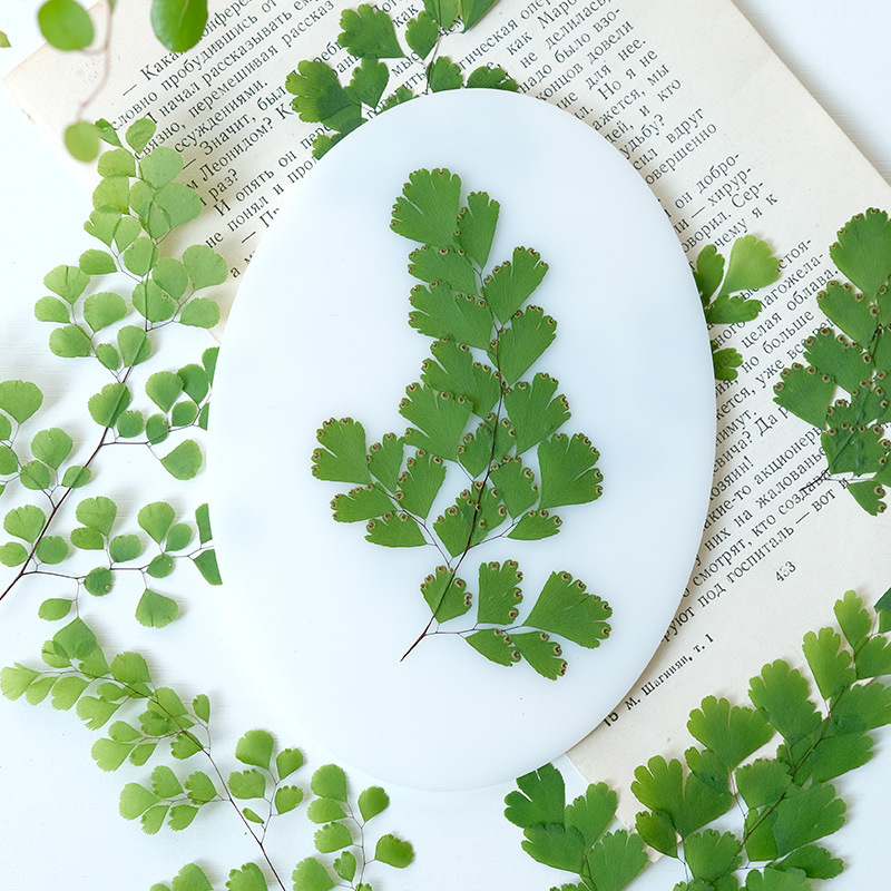 60Pcs Natural Plant Real Flowe - Dried Flower Bookmark recensie en prijs