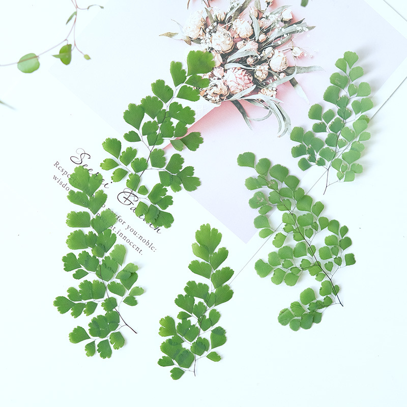 60Pcs Natural Plant Real Flowe - Dried Flower Bookmark recensie en prijs