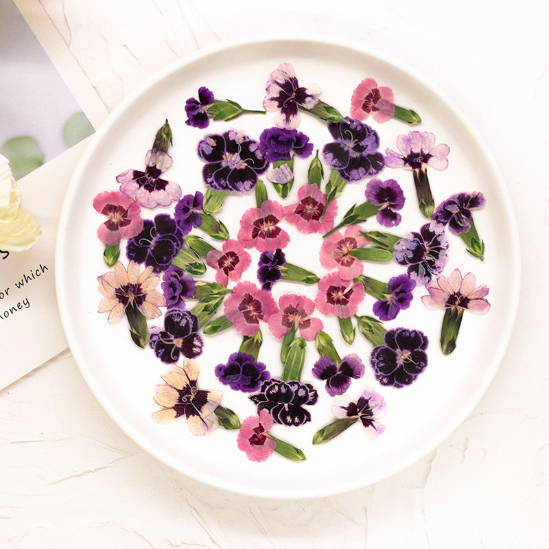 24pcs,Pressed Dried Dianthus F - Dried Flower Bookmark recensie en prijs