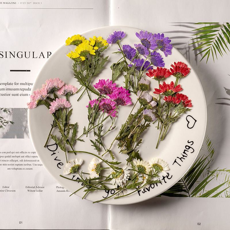 5-8cm/24pcs,Side pressed cryst - Dried Flower Bookmark recensie en prijs